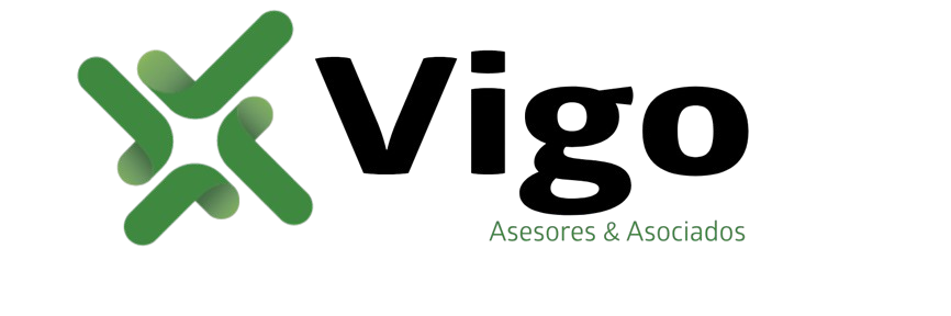 Vigoasesores